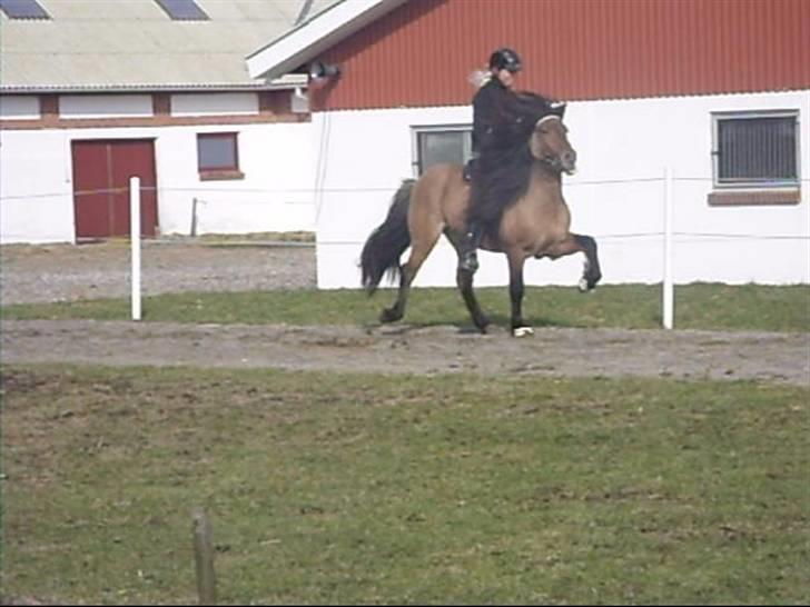 Hektor frá Litlu-Sandvík billede 34