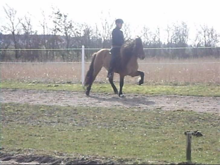 Hektor frá Litlu-Sandvík billede 36