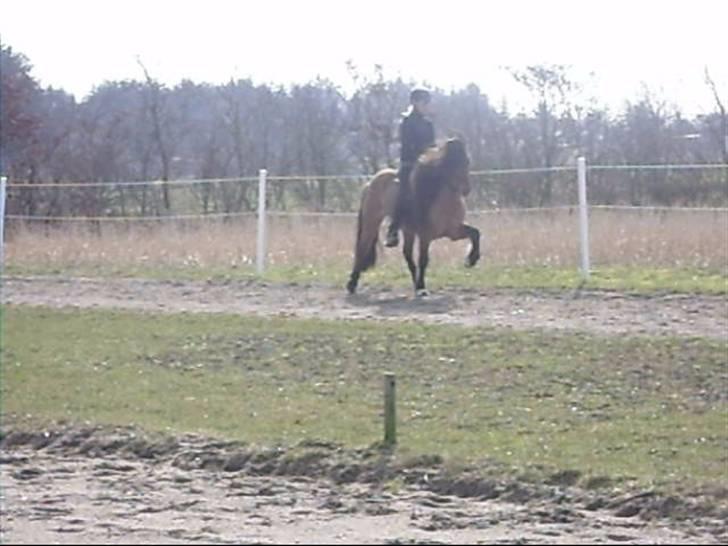 Hektor frá Litlu-Sandvík billede 37