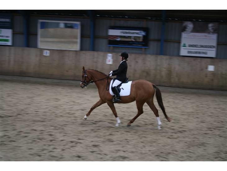 {{currentPhoto.altText}} billede {{currentPhoto.number}}