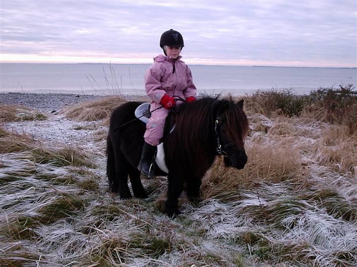 Alle de søde dyr - Mig og Absalon på en lille tur billede 3