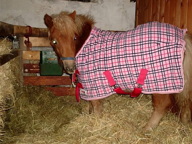 Alle de søde dyr - Rapunsel billede 18