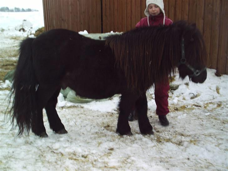 Alle de søde dyr - Absalon billede 19