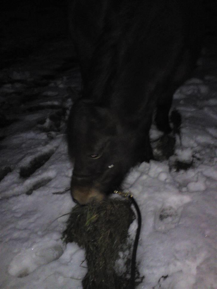 Billeder Af Sigurd, mig Marco, Petra & Signe billede 74