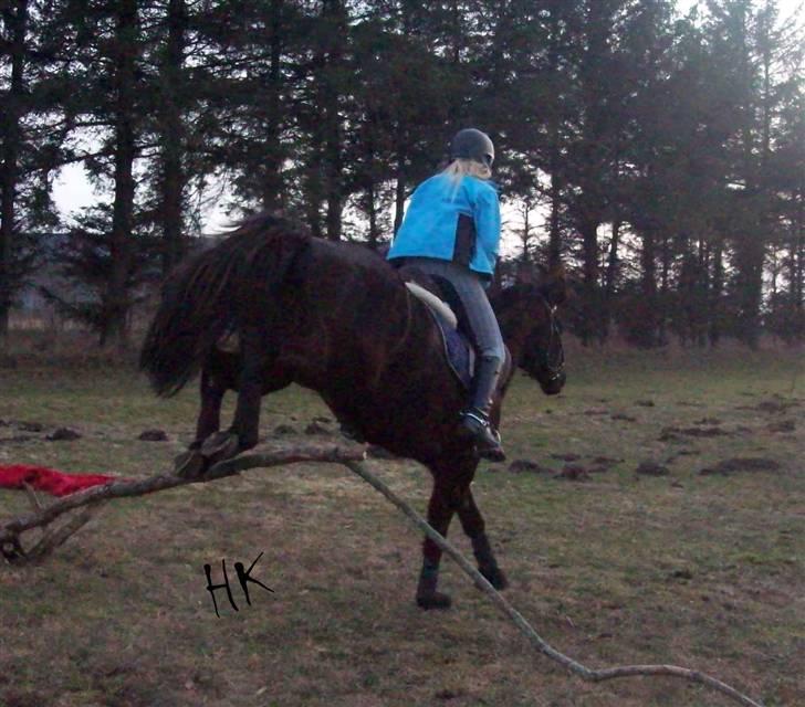 Dressurundervisning - Ridning af Goldy- Foldbilleder- Uggerhalne rideklub.- billede 50