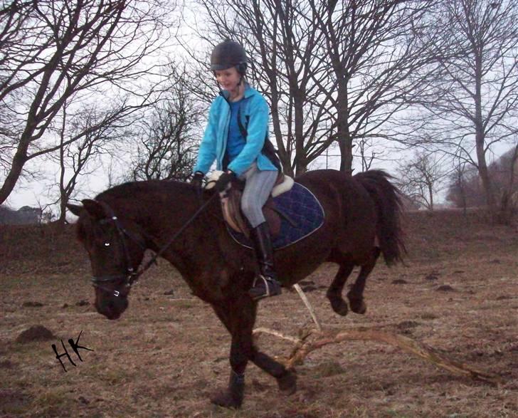 Dressurundervisning - Ridning af Goldy- Foldbilleder- Uggerhalne rideklub.- billede 52