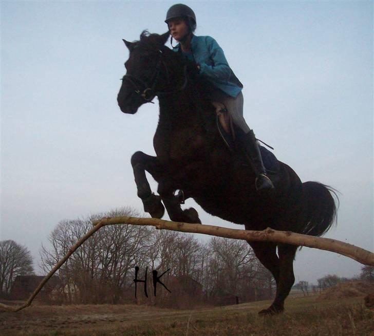 Dressurundervisning - Ridning af Goldy- Foldbilleder- Uggerhalne rideklub.- billede 54