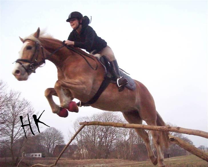 Dressurundervisning - Ridning af Goldy- Foldbilleder- Uggerhalne rideklub.- billede 56