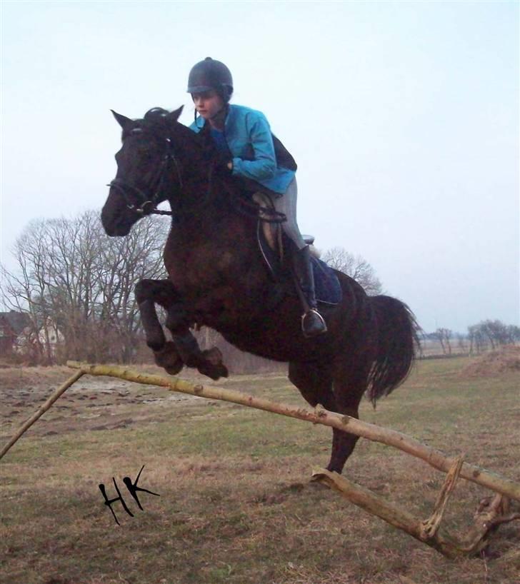 Dressurundervisning - Ridning af Goldy- Foldbilleder- Uggerhalne rideklub.- billede 58