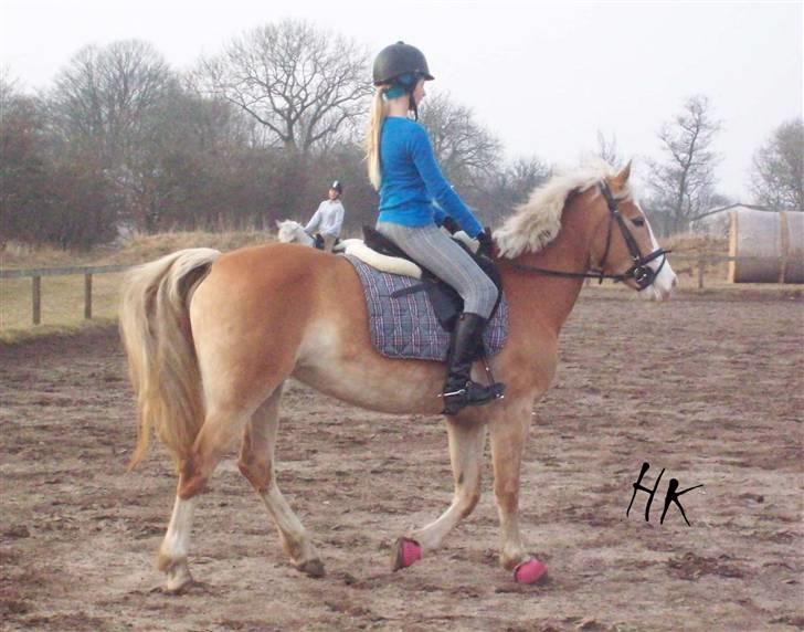 Dressurundervisning - Ridning af Goldy- Foldbilleder- Uggerhalne rideklub.- billede 69