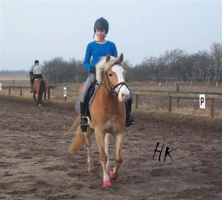 Dressurundervisning - Ridning af Goldy- Foldbilleder- Uggerhalne rideklub.- billede 71