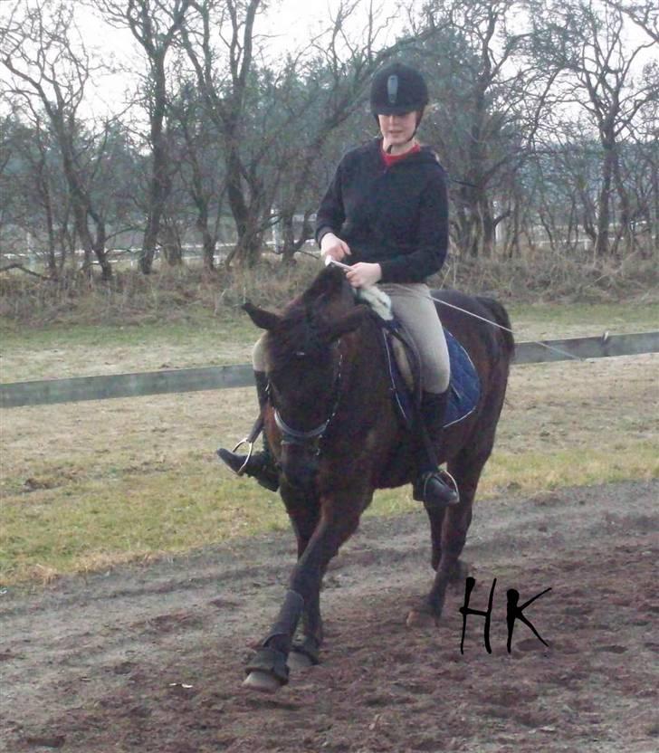 Dressurundervisning - Ridning af Goldy- Foldbilleder- Uggerhalne rideklub.- billede 77