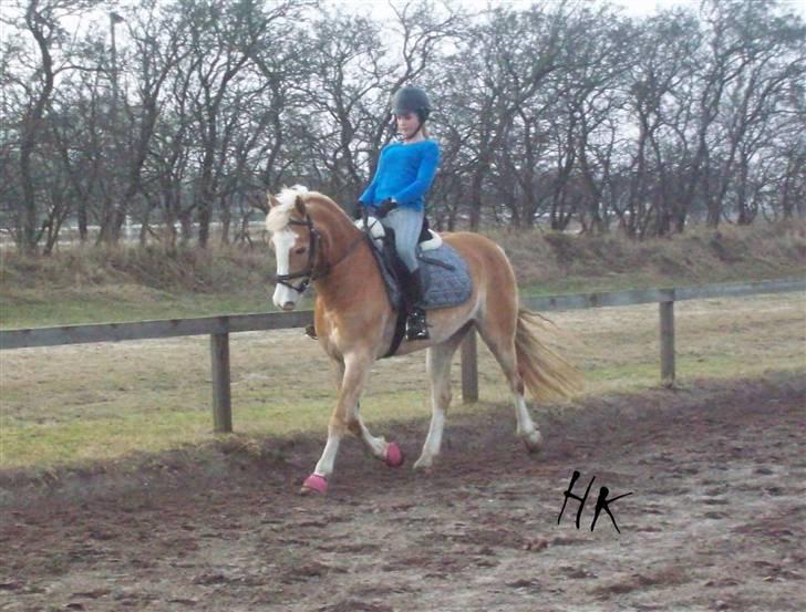 Dressurundervisning - Ridning af Goldy- Foldbilleder- Uggerhalne rideklub.- billede 79