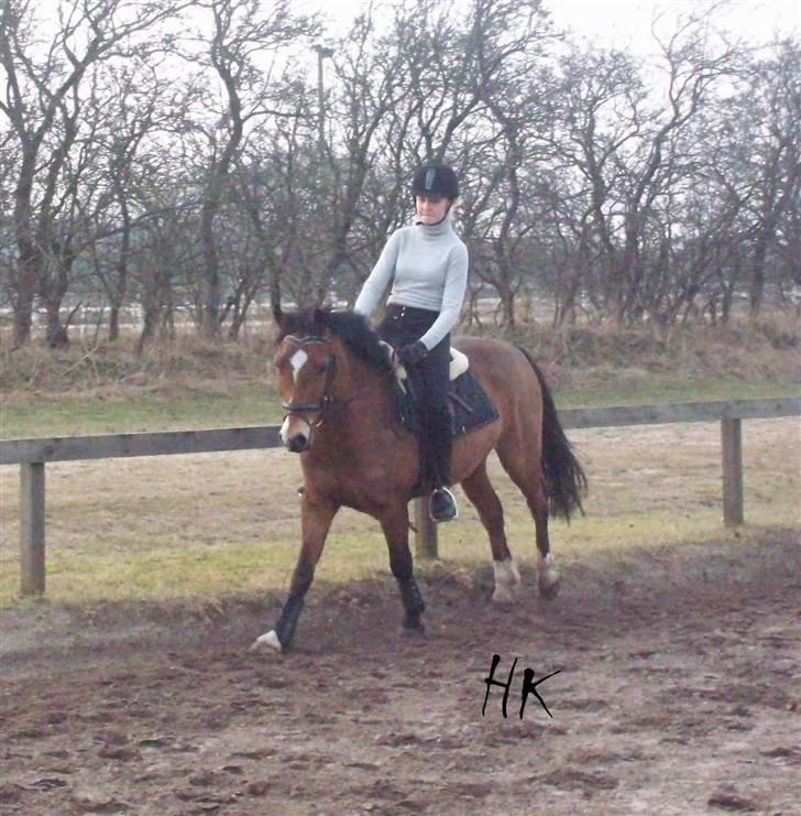 Dressurundervisning - Ridning af Goldy- Foldbilleder- Uggerhalne rideklub.- billede 80