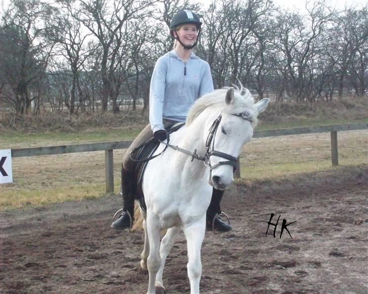 Dressurundervisning - Ridning af Goldy- Foldbilleder- Uggerhalne rideklub.- billede 81