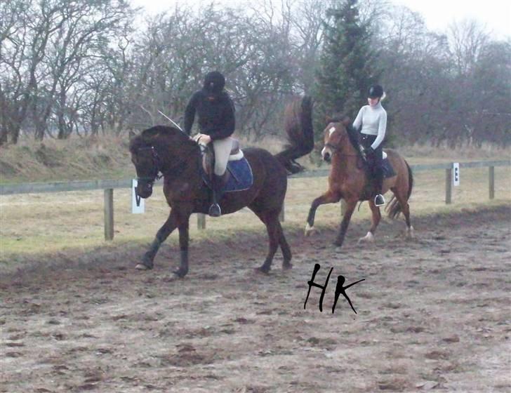 Dressurundervisning - Ridning af Goldy- Foldbilleder- Uggerhalne rideklub.- billede 84