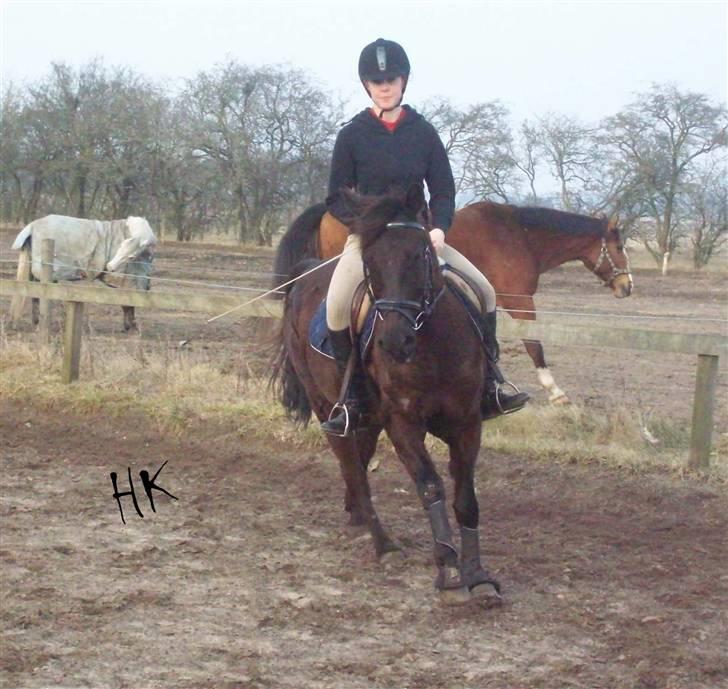 Dressurundervisning - Ridning af Goldy- Foldbilleder- Uggerhalne rideklub.- billede 99