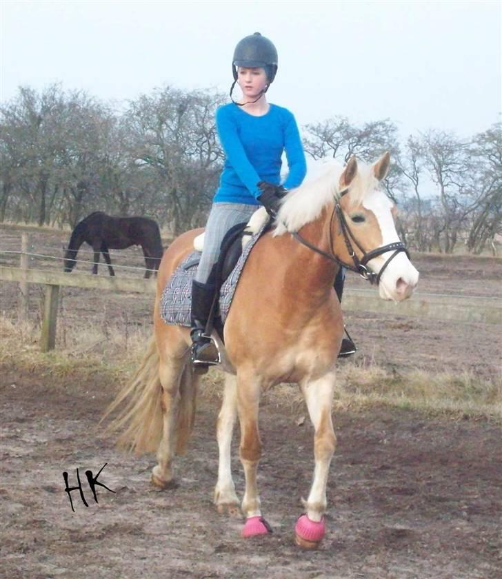 Dressurundervisning - Ridning af Goldy- Foldbilleder- Uggerhalne rideklub.- billede 103