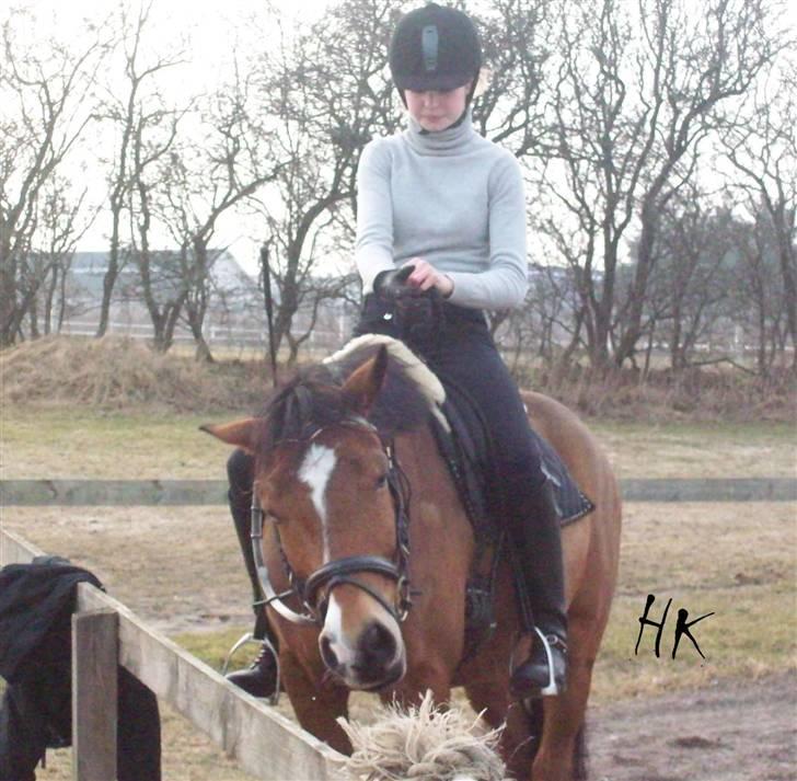 Dressurundervisning - Ridning af Goldy- Foldbilleder- Uggerhalne rideklub.- billede 106