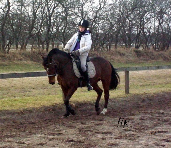 Dressurundervisning - Ridning af Goldy- Foldbilleder- Uggerhalne rideklub.- billede 110