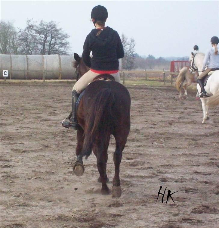 Dressurundervisning - Ridning af Goldy- Foldbilleder- Uggerhalne rideklub.- billede 111