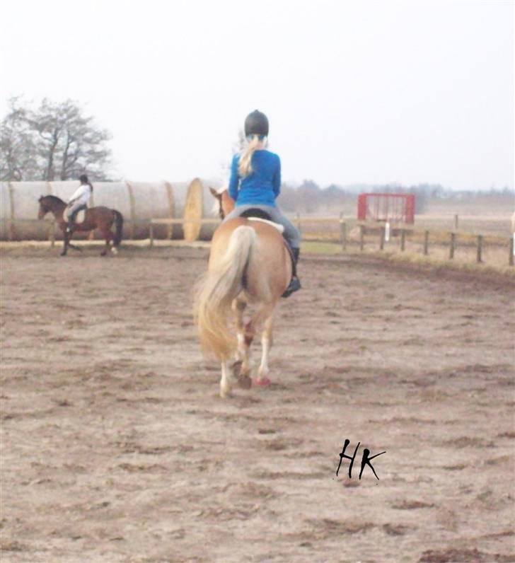 Dressurundervisning - Ridning af Goldy- Foldbilleder- Uggerhalne rideklub.- billede 113