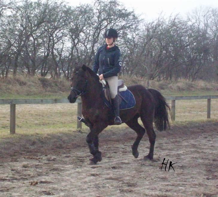 Dressurundervisning - Ridning af Goldy- Foldbilleder- Uggerhalne rideklub.- billede 122