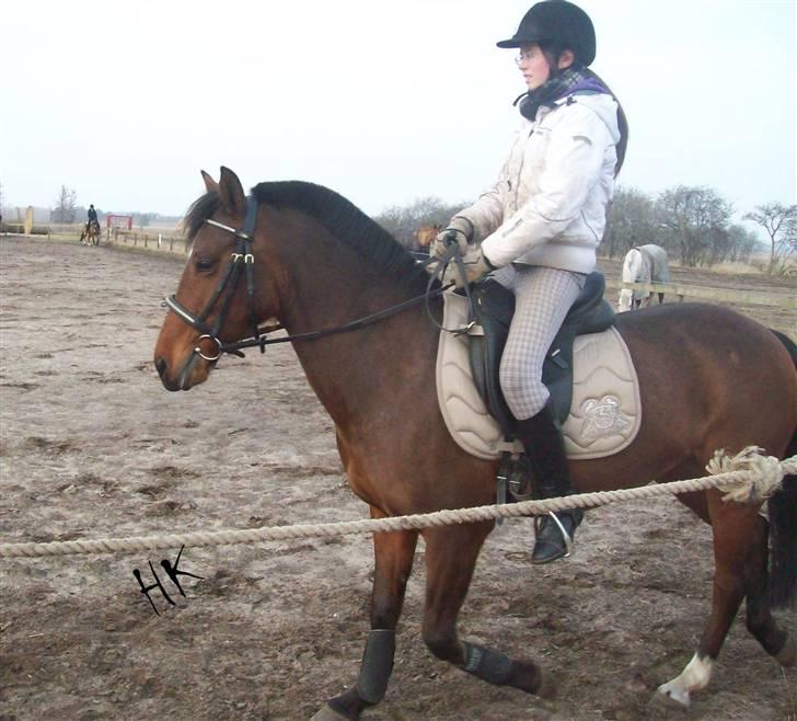 Dressurundervisning - Ridning af Goldy- Foldbilleder- Uggerhalne rideklub.- billede 129