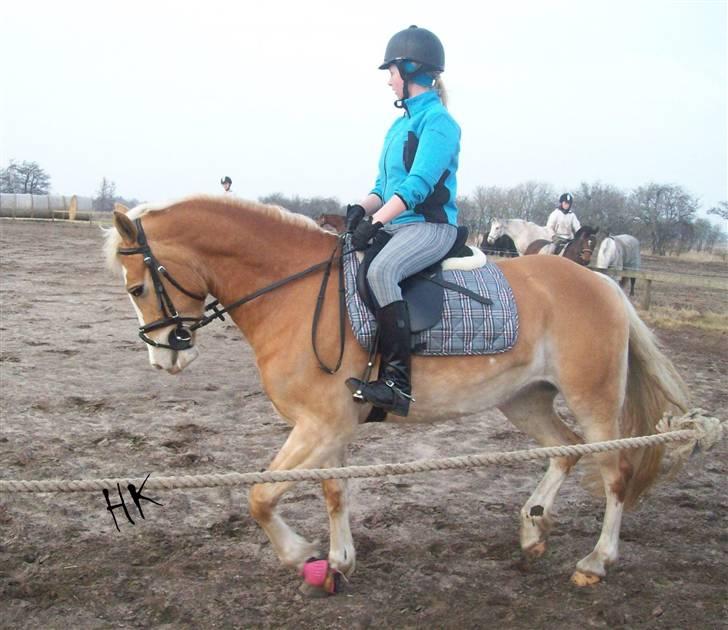 Dressurundervisning - Ridning af Goldy- Foldbilleder- Uggerhalne rideklub.- billede 130