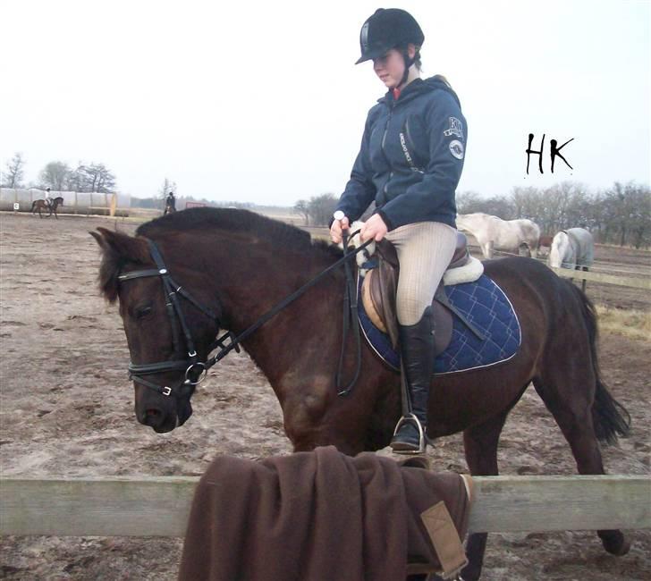 Dressurundervisning - Ridning af Goldy- Foldbilleder- Uggerhalne rideklub.- billede 132