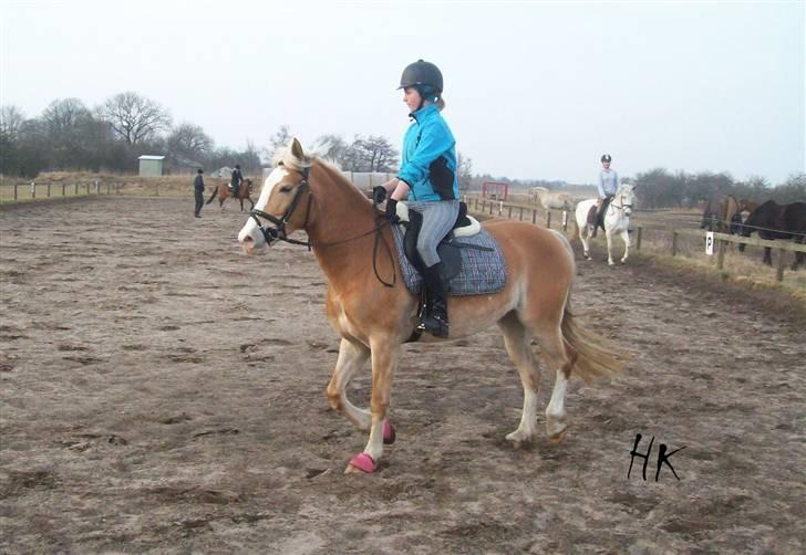 Dressurundervisning - Ridning af Goldy- Foldbilleder- Uggerhalne rideklub.- billede 134