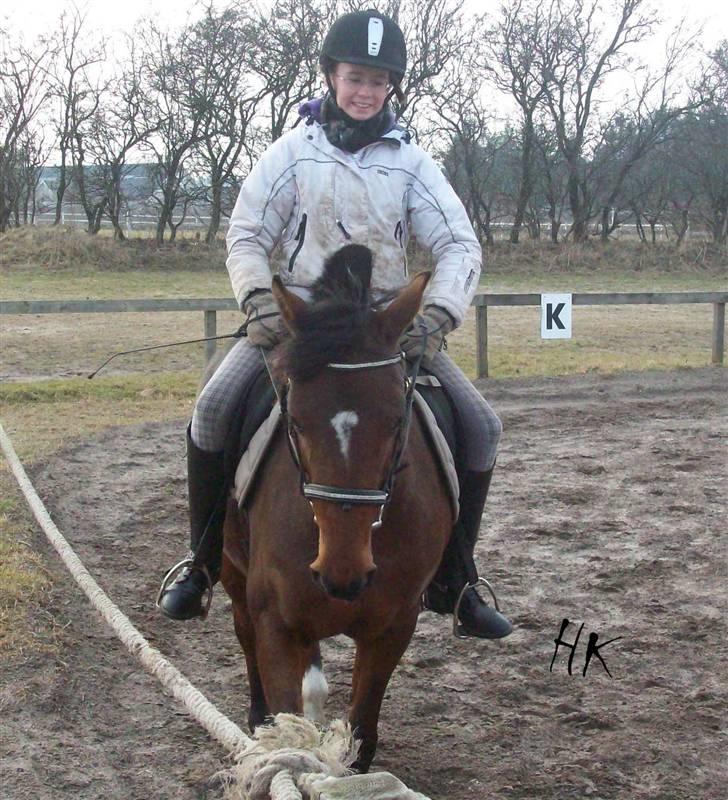 Dressurundervisning - Ridning af Goldy- Foldbilleder- Uggerhalne rideklub.- billede 139