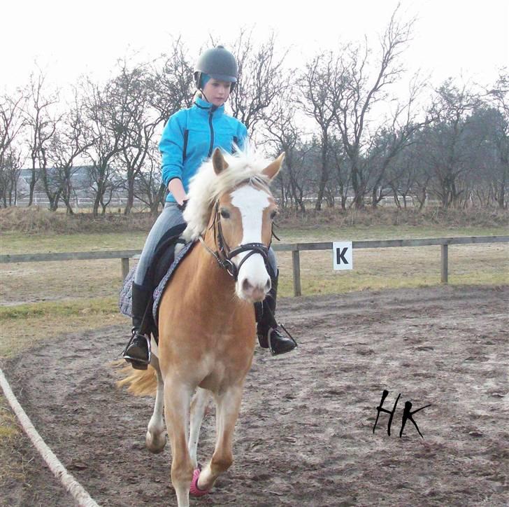 Dressurundervisning - Ridning af Goldy- Foldbilleder- Uggerhalne rideklub.- billede 142