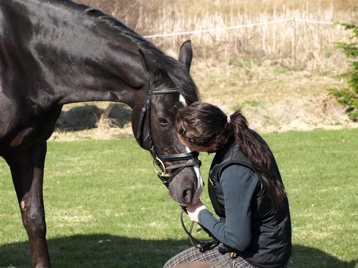 VERDENS SMUKKESTE PONY!! billede 4