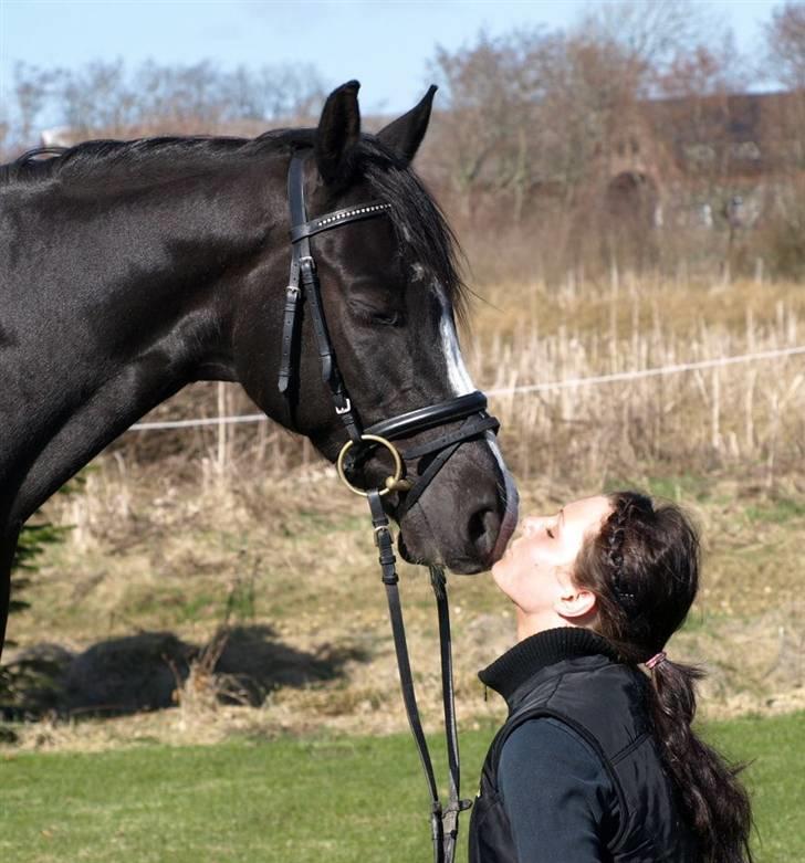 VERDENS SMUKKESTE PONY!! billede 5