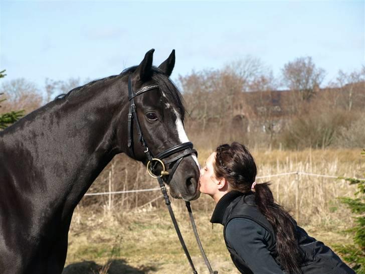 VERDENS SMUKKESTE PONY!! billede 6