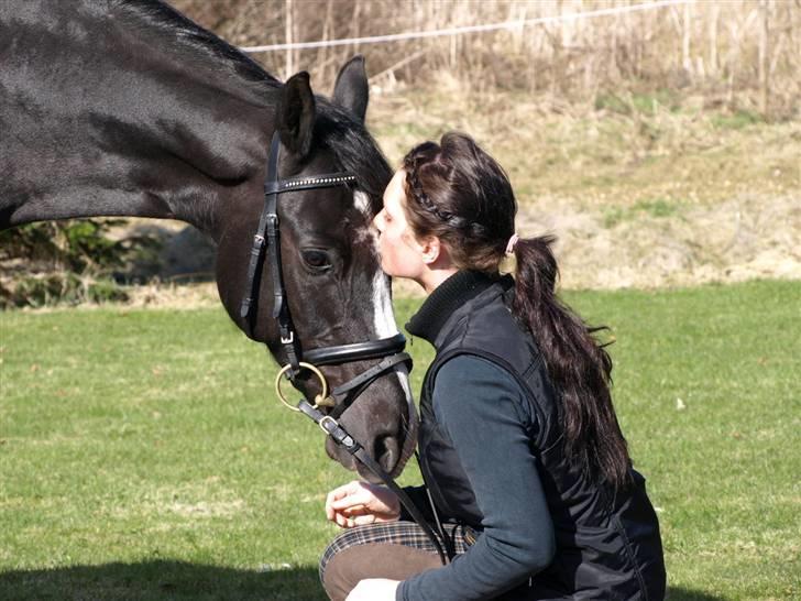 VERDENS SMUKKESTE PONY!! billede 7