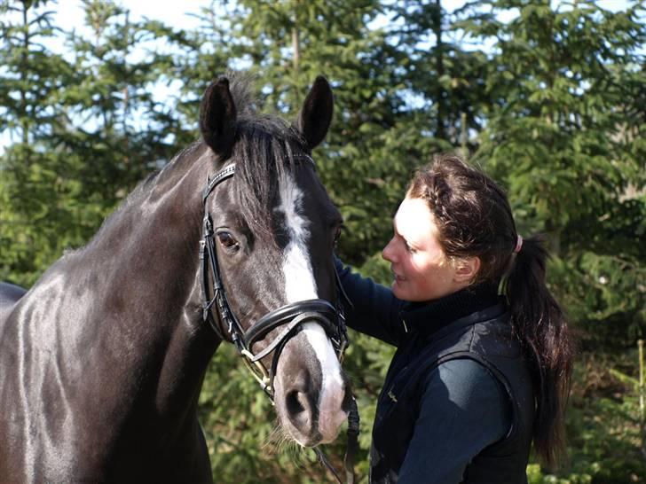 VERDENS SMUKKESTE PONY!! billede 13