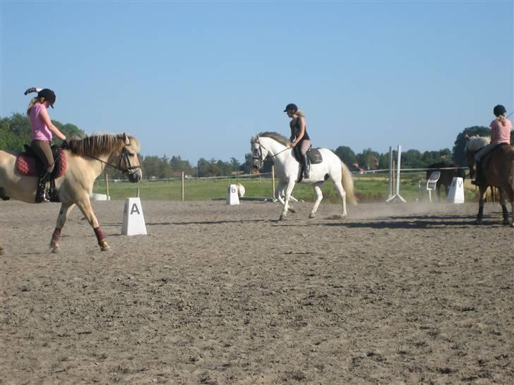 Ridelejr på søborggård 2007 - Lidt galop.. :D billede 2