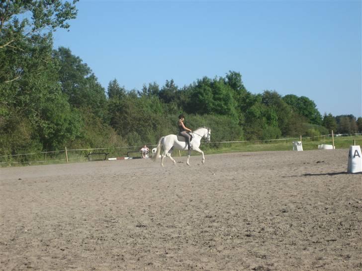 Ridelejr på søborggård 2007 - Lidt trav.. :D billede 3