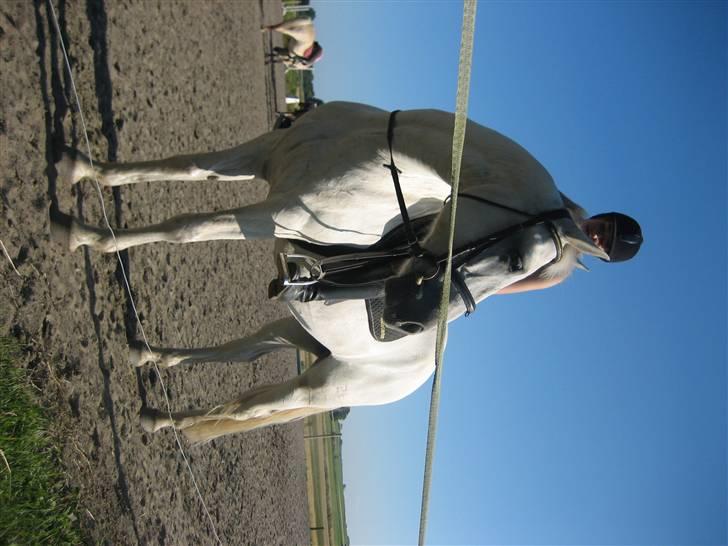 Ridelejr på søborggård 2007 - Hey hvem er det? nå det var bare emma og mie.. billede 5