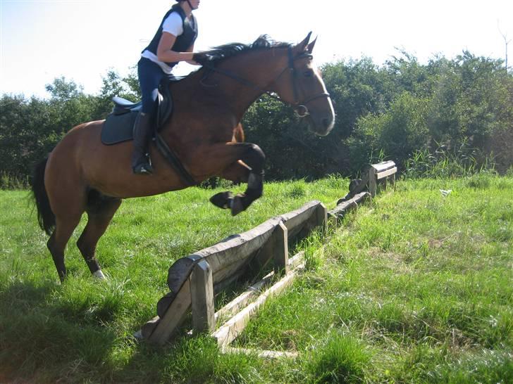 Ridelejr på søborggård 2007 - Mie springer på delice.. billede 7