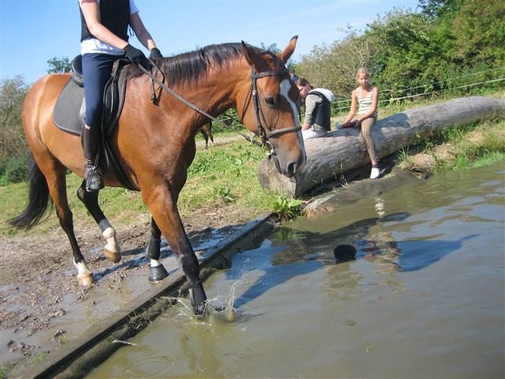 Ridelejr på søborggård 2007 - Ad det er vådt..
 billede 8