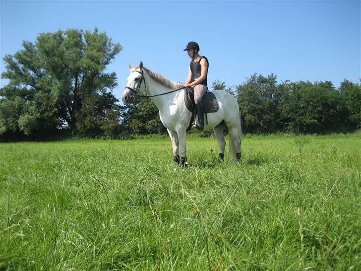 Ridelejr på søborggård 2007 - Slapper lige før terænet.. billede 9