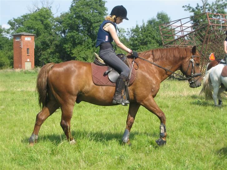 Ridelejr på søborggård 2007 - Emma slapper også lige før terænet.. billede 10