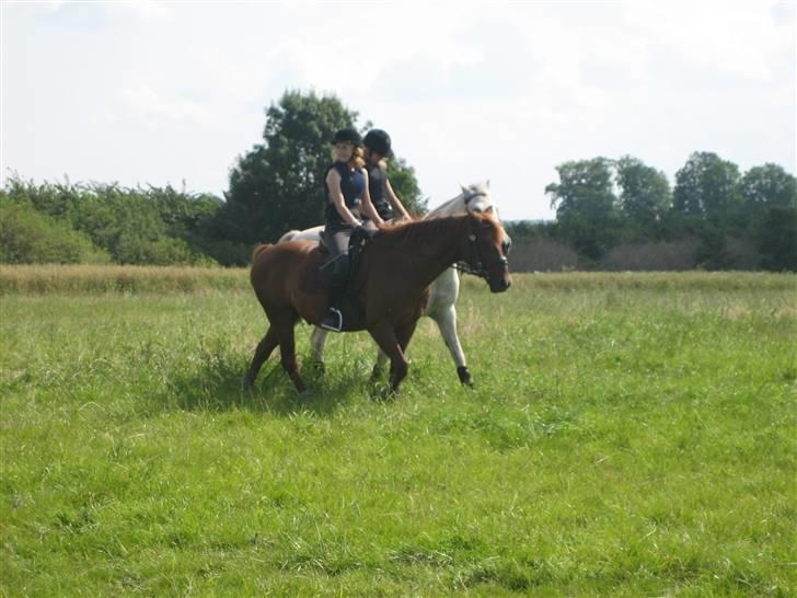Ridelejr på søborggård 2007 - Vi slapper da også lige sammen :D billede 11