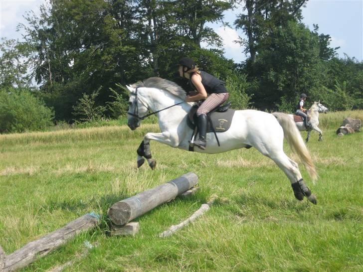 Ridelejr på søborggård 2007 - Mig og cappu springer.. han elsker det.. billede 12