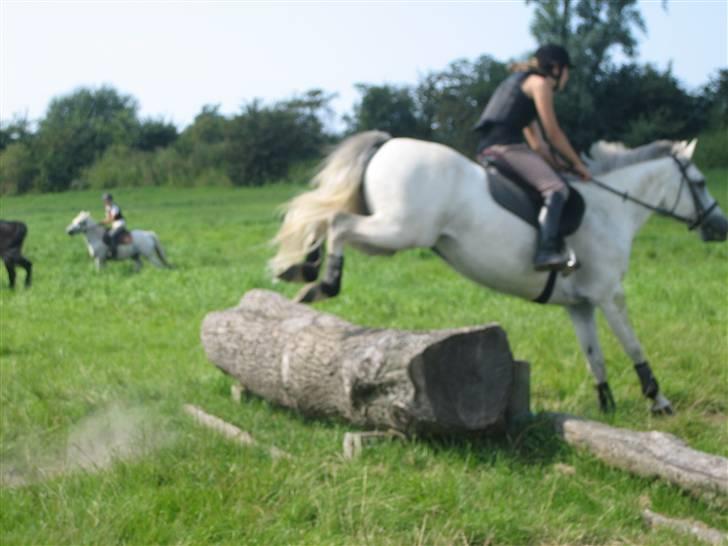 Ridelejr på søborggård 2007 - Også den igen.. billede 13