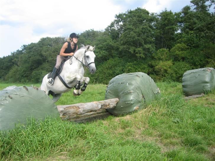 Ridelejr på søborggård 2007 - Det var et sjovt spring hehe.. billede 14