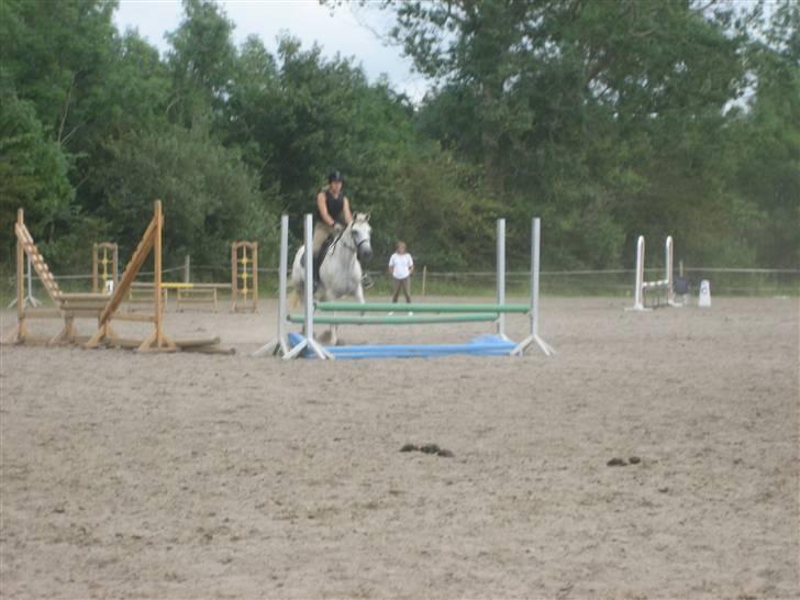 Ridelejr på søborggård 2007 - Arh vandet er lidt farligt.. kun lidt han sprang alligevel.. billede 16